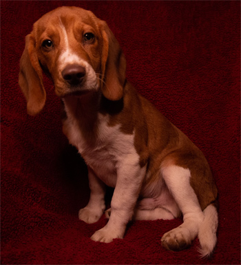 Ben