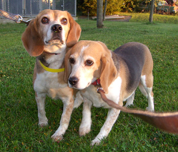 Edna & Emma
