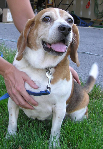 Dexter