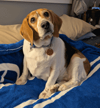 Bella