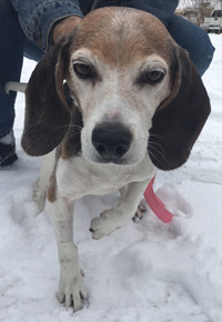 Maggie